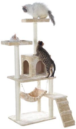 分类图片 猫用品