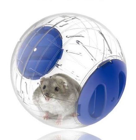 分类图片 小宠用品