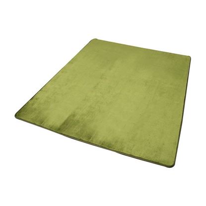 图片 Iris 爱丽思 地毯可水洗法兰绒 绿色 185×185  日本